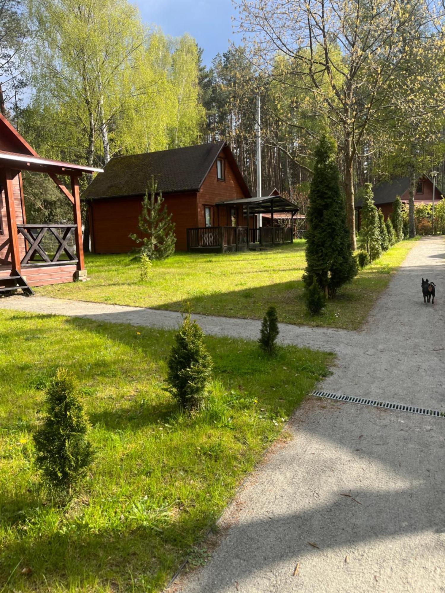 Domki Letniskowe Nad Jeziorem Kazub Cieciorka Kültér fotó
